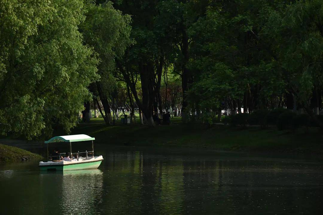 幼儿园|绿就一个字，可是已经把全世界都融化了（一个幼儿园教师的快乐暑假）