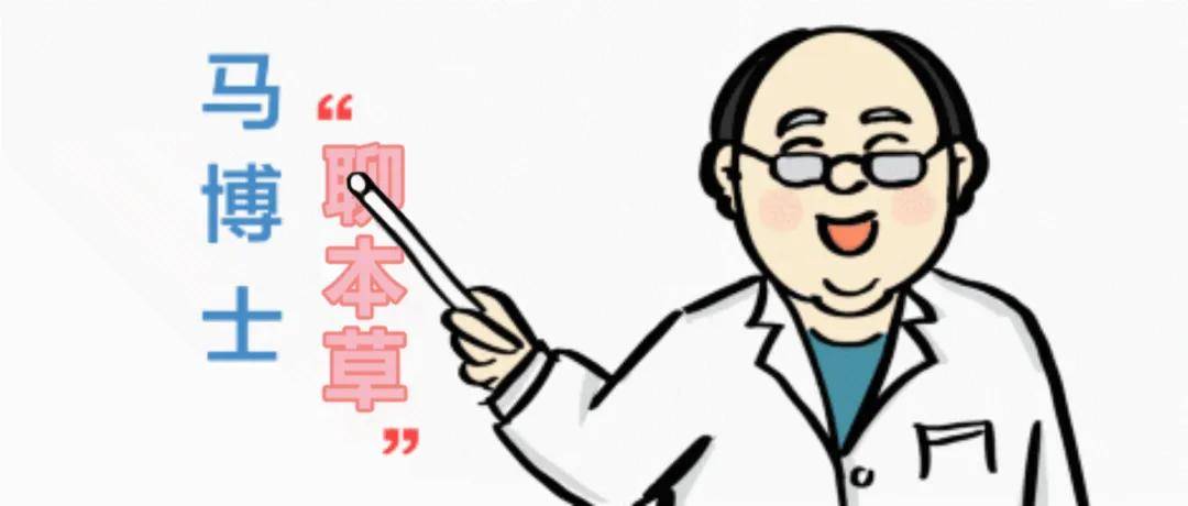 藏红花|【马博士聊本草】女科要药（一）：藏红花的故事——应用