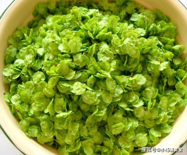 包子|包子馒头靠边站,早餐就馋这美味,好吃简单,连着吃一个月都不腻