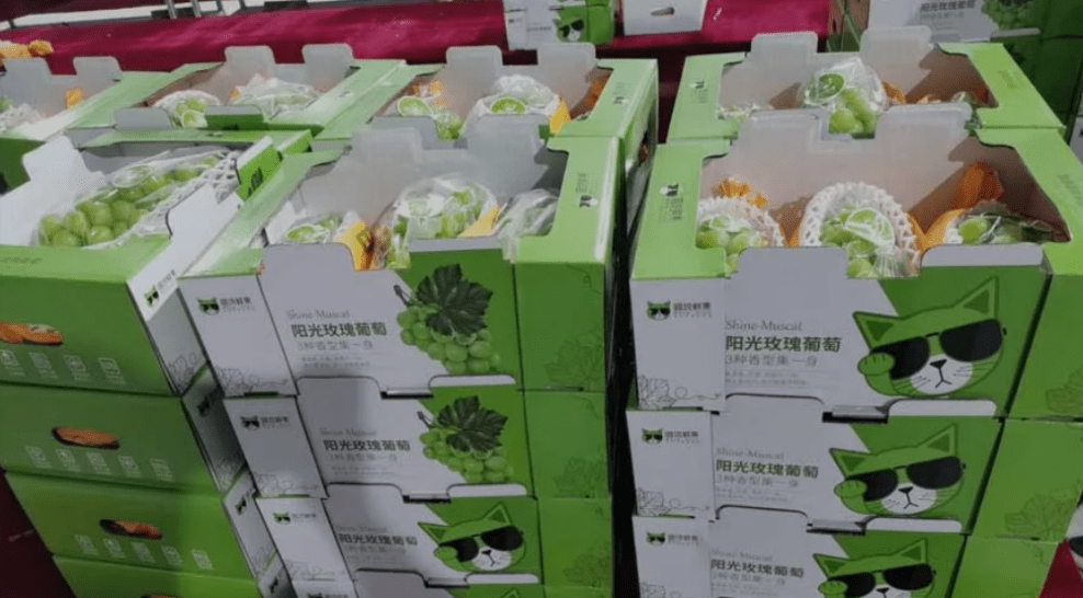 阳光玫瑰葡萄苗哪里有卖的