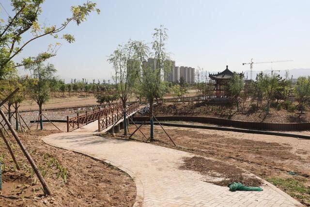 原平市委书记马志强调研沙河生态修复工程