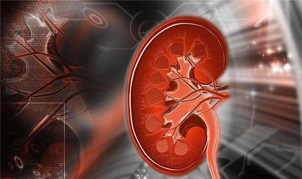 肾脏|记牢6个肾病“致命”误区，远离尿毒症
