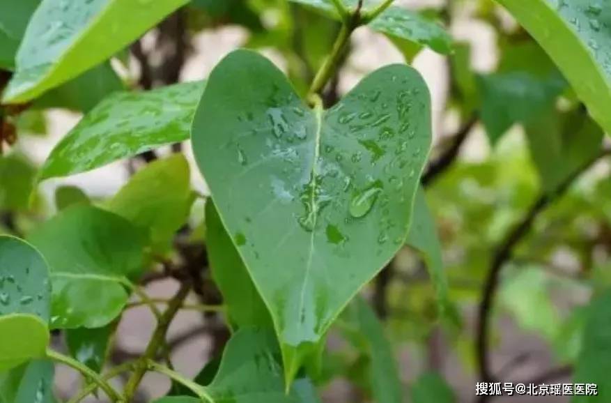 方法|【健康】辅助控制血糖的18种方法,对身体的好处显而易见