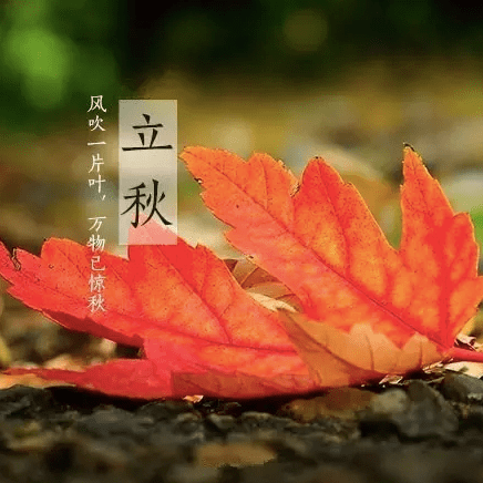 18bc873114bf4c56affa2aa6bc0e97d9.png