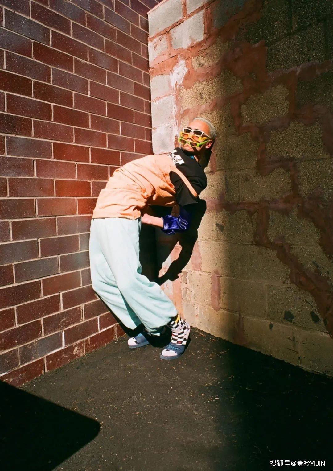 品牌|这年头，连狗都要做个时尚圈的「局外人」