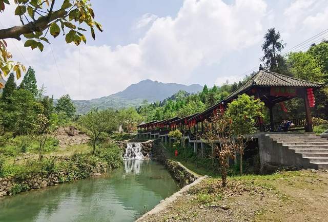汶川地震以后,勤劳的春芽村村民们重建家园,家家户