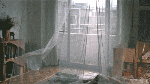 c041ce247ba6402a8b33601548b7743f.gif