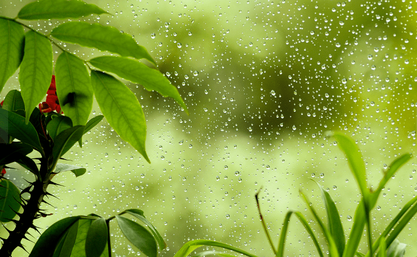 认知|运动神经元也会造成患者认知损伤