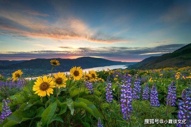 朋友圈早安心语励志名言 经典正能量 不看是你的损失 时间