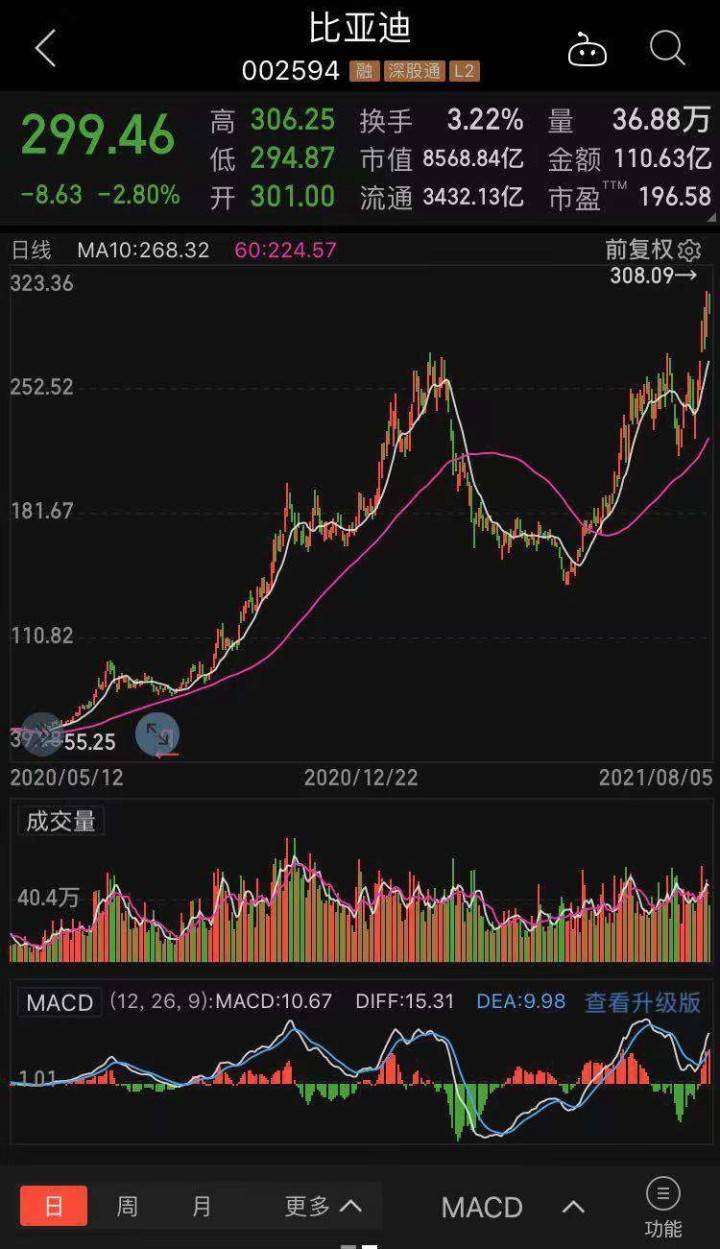 a股市值排行榜_涨疯了!比亚迪市值超过中石油,挤进A股总市值排行榜前十