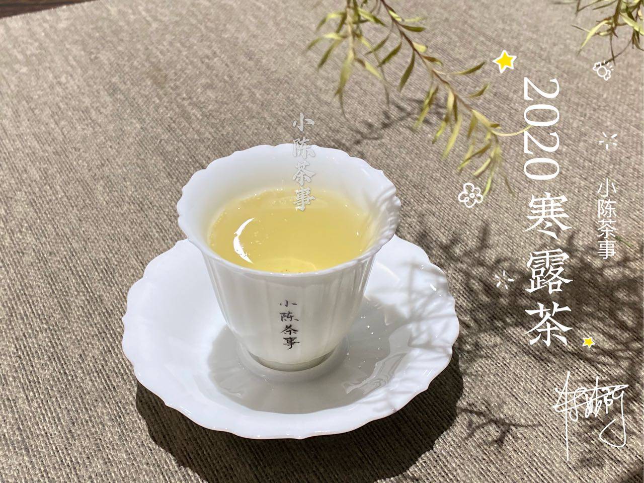 因为|新人买白茶的4大铁律，村姑陈分享多年买茶经验，学会了就是赢家