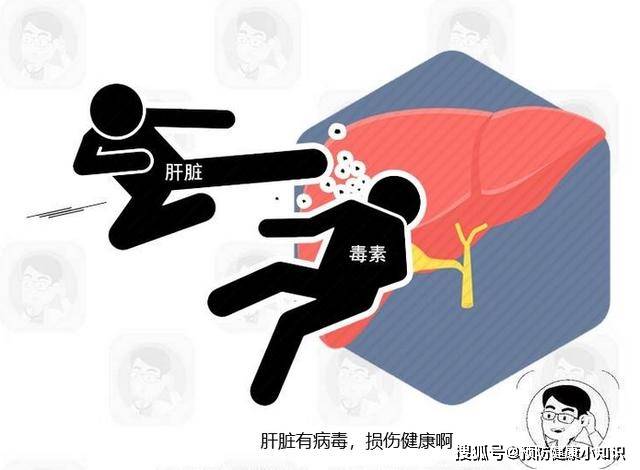 症状|肝脏变硬，腹部先知！提醒：腹部出现2个迹象，提示你该体检了