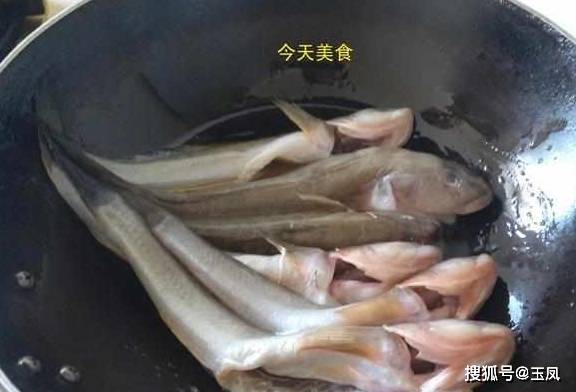 水鱼吃什么怎么养 079fab3290da4f4a9adea2c0d4c15bce.jpeg