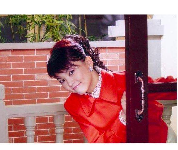 《宫锁珠帘》这部剧中李湘也来客串了,她在剧中饰演梅仙.