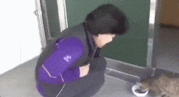 上门来|女子喂流浪猫吃五花肉,喵叼起肉就往山上跑,跟去一看后泪目了