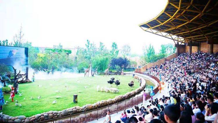 河南私藏的“游乐地”，耗资50亿打造位于郑州，游客：很好玩