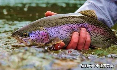 公认最美味的5类鱼，若你全吃都吃过，那一定是真u201c土豪u201d_我国