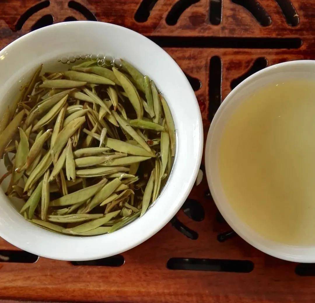 白茶中至关重要的白毫究竟是何宝物