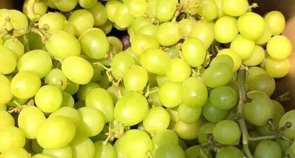 心脏|对心脑血管好的零食，都在这了！