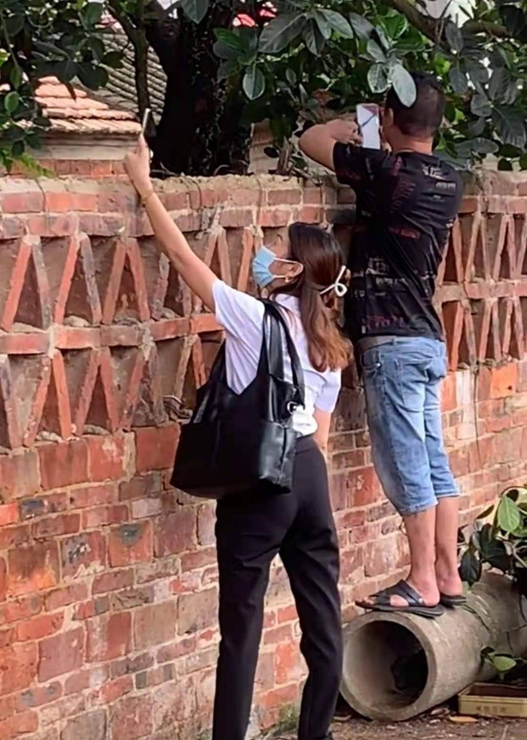 原创跳水冠军全红婵湛江的家门口停满豪车网红使出全劲拍视频