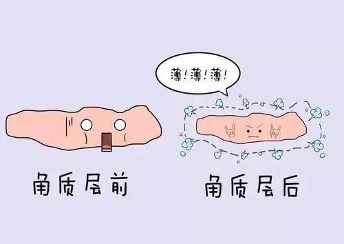 夏天|从此做菜不用放油？我们脸上这么多油是从哪里来的？