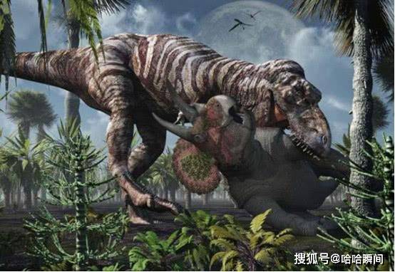 恐龙经历上亿年的时间，都没能进化成高等生物，是什么阻止了它？插图1