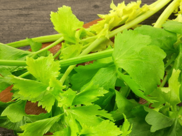 男性备孕饮食吃壮阳菜应审时度势