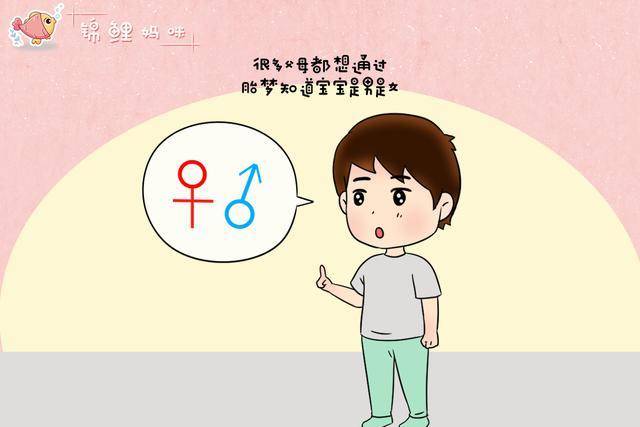 梦回孕期，孕妇梦见狗生子的性别寓意与心理解析