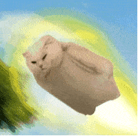 什么|周迅的灵气真的永不断电，一睁眼又是照片变GIF...