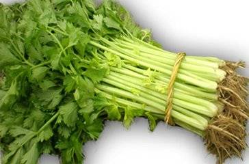 芹菜赞为菜之美者,但这几种情况下不能吃,小心惹病上身