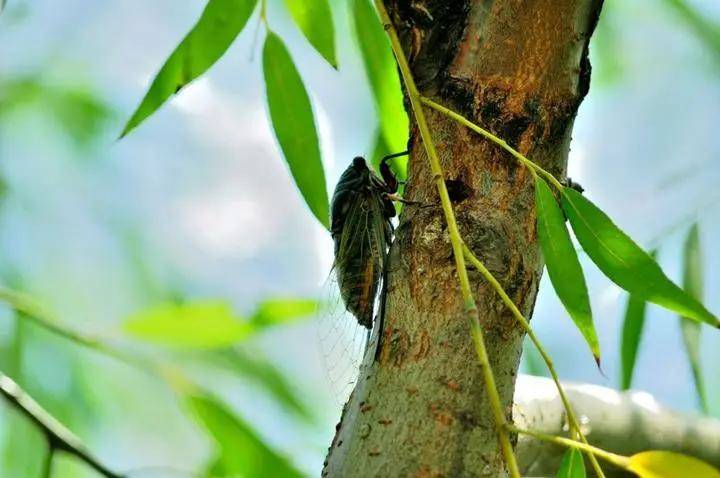 云和|立秋 | 暑热将褪 忽而入秋