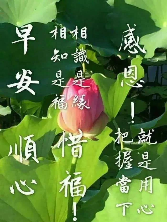 原创7张最新创意好看的早安问候祝福图片精选2021好看的早上好图片带