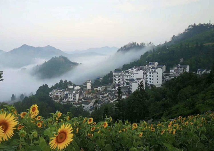 原创黄山歙县:一个无人居住的空心村,曾繁华热闹现有些凄凉