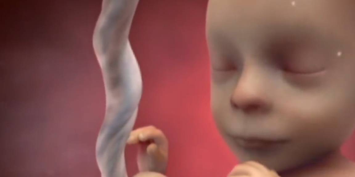 因为|孕妇平躺时，会不会因为重力压迫到腹中的宝宝？不妨听听科学分析