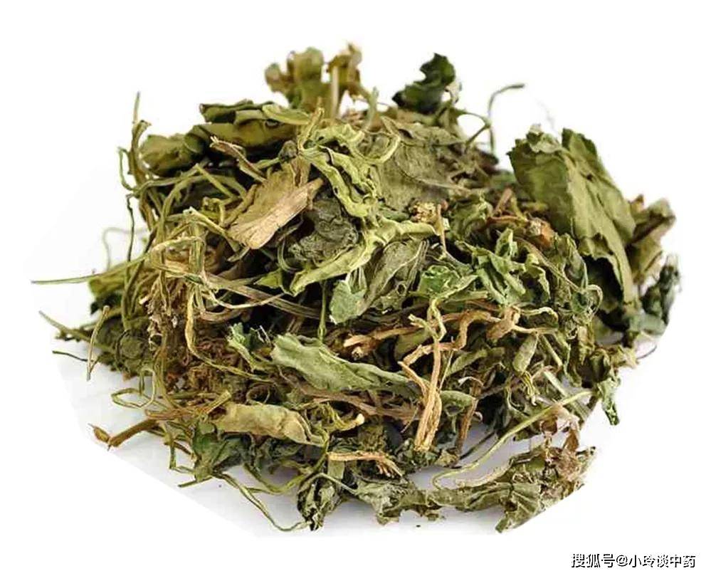 每日中药紫花地丁