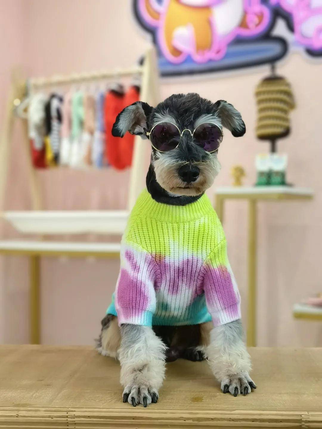 理念|兼顾设计与舒适，品牌宠物服饰新品抢先看