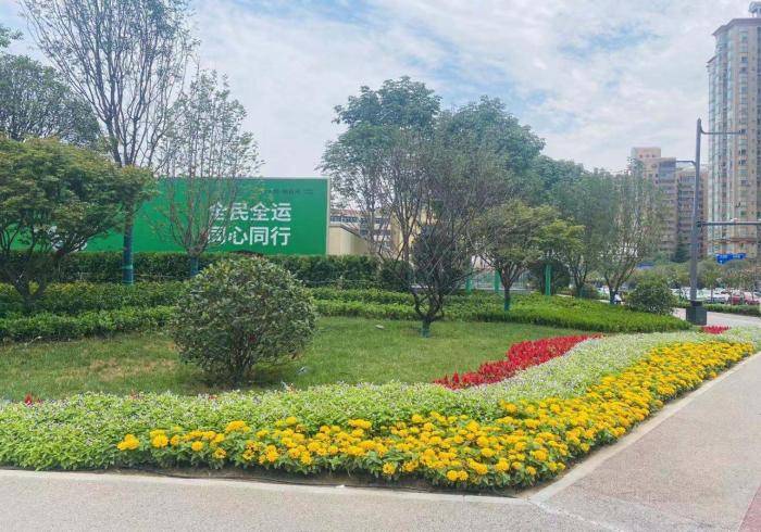 高新路|高新路上“新”了 ！