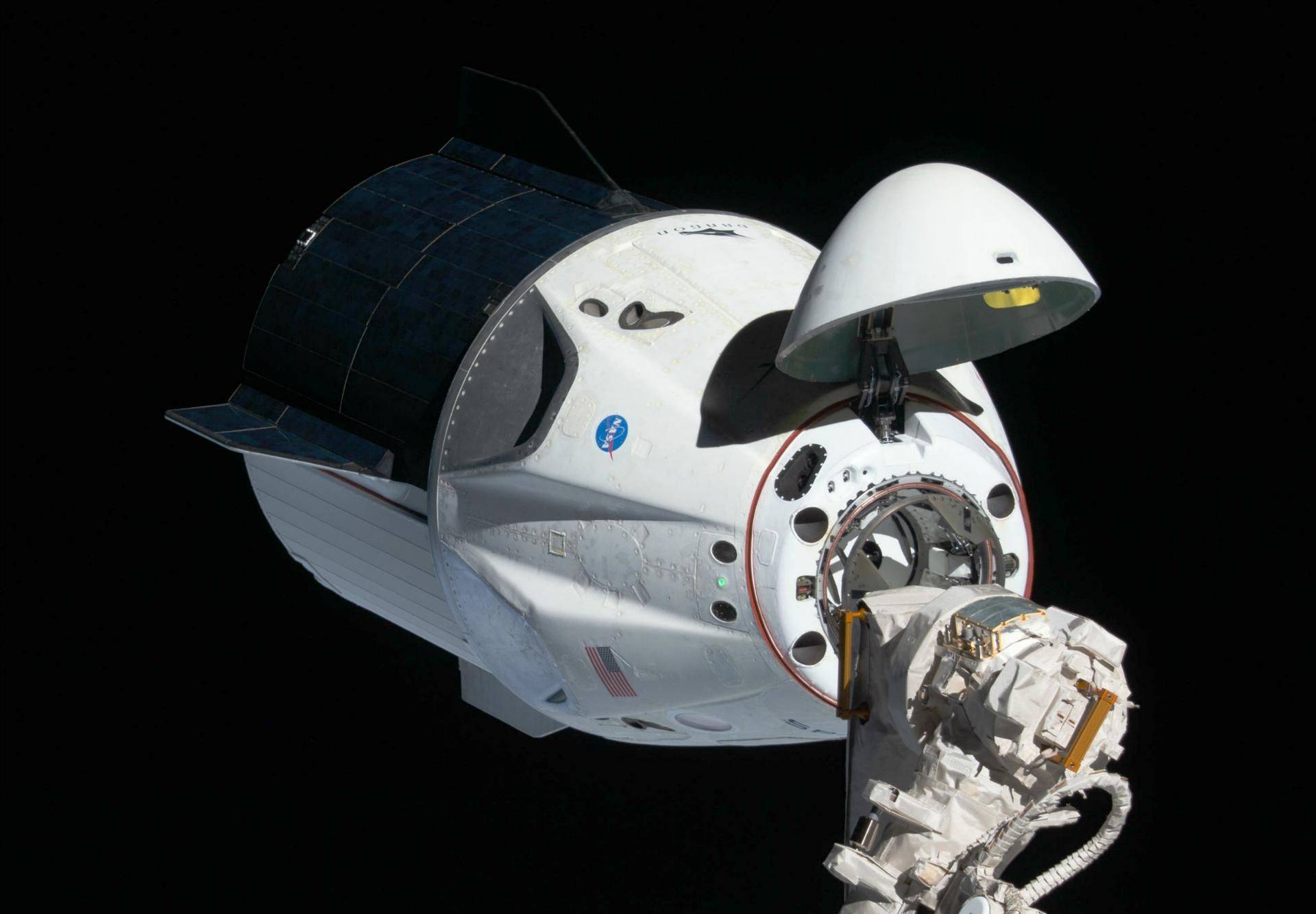 原创马斯克星际飞船计划极其紧迫希望死后spacex仍能保持势头