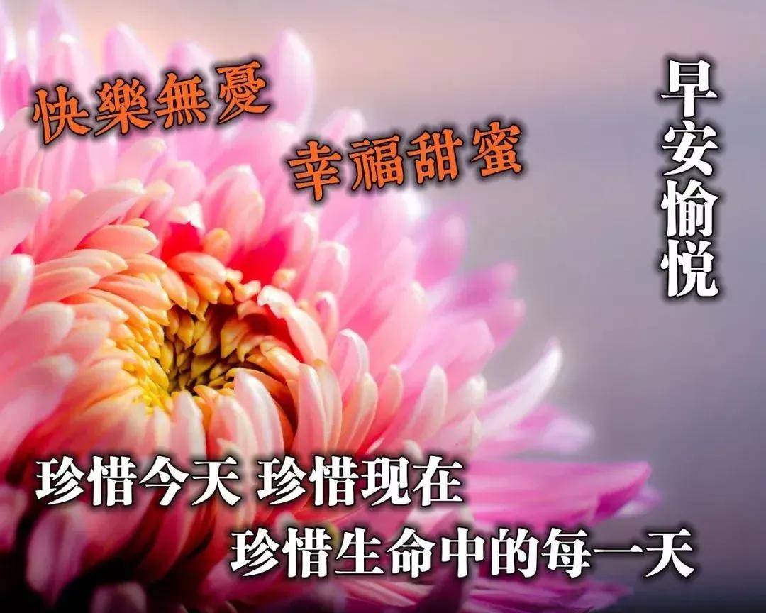 c263c9eef780460c8edf5642e0b7704d.jpeg