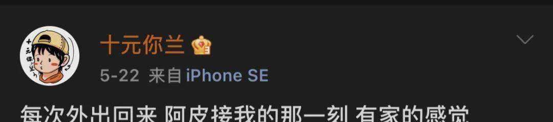 幺妹|被荣耀夫妇甜到上头的姑娘不得不说,杨洋和热巴真的是绝配了