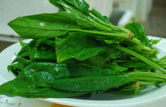 骨质疏松多吃哪些素食 c40b9cc79baf465c91b3fe5431cf6705.jpeg