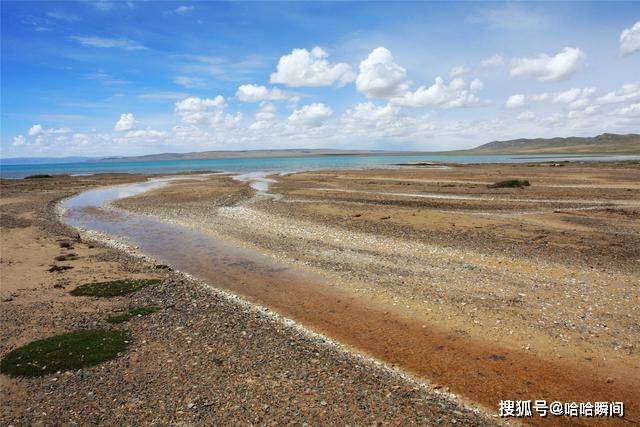 原创徒步哈拉湖无人区纪实第八天与黑熊来了一次约会