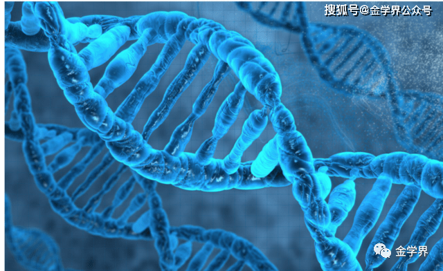 生物的基本特征是什么和什么 190c1207091c4b2bb345a75ba6fdae15.png