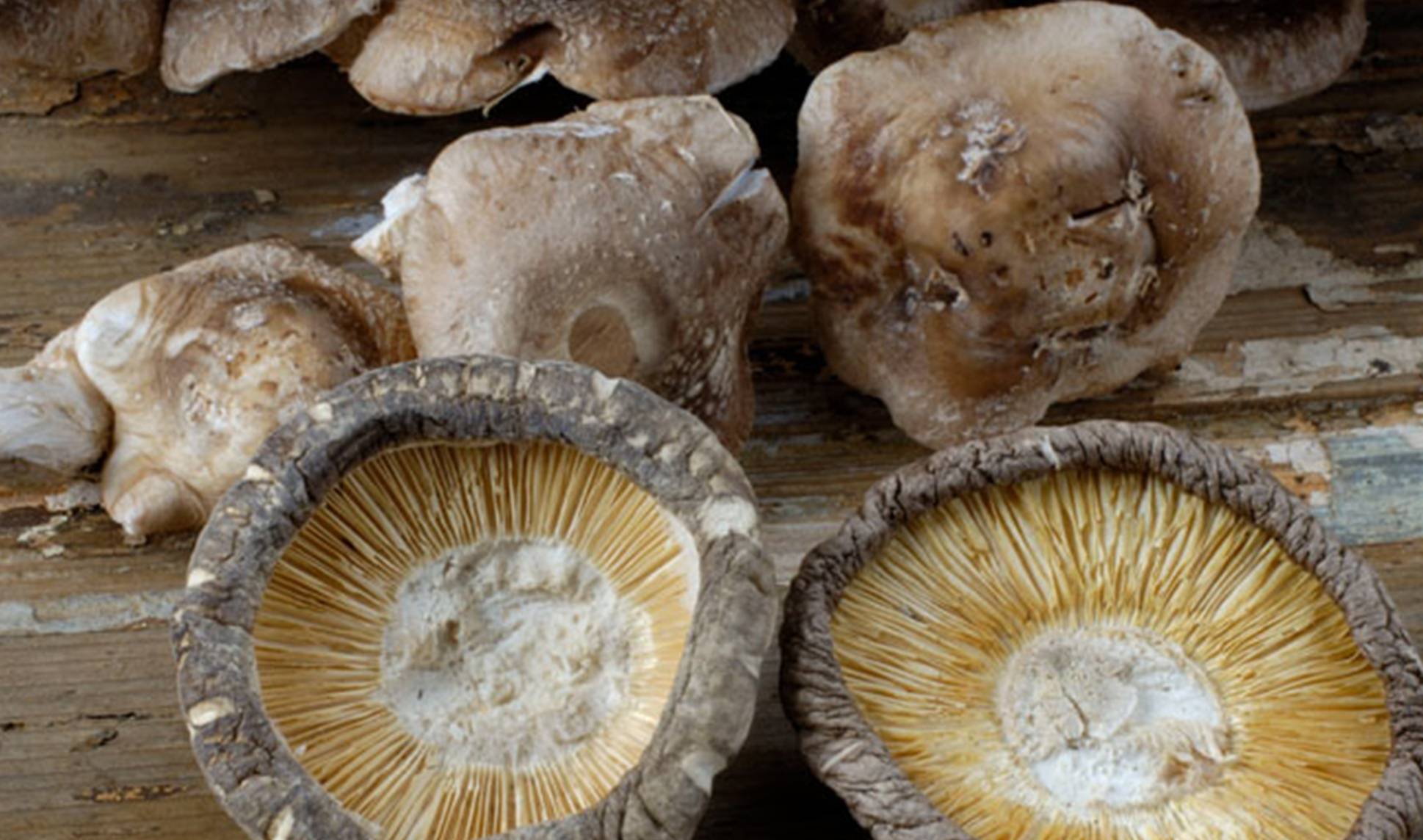 尿酸|高尿酸患者：身体若有4个异象，或是肾已被“伤透”，别再硬抗了