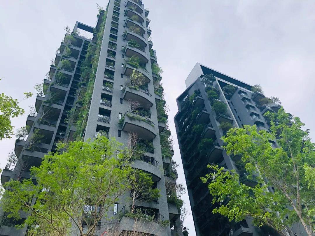生态和居所的完美融合,你会想在这些生态建筑居住吗?
