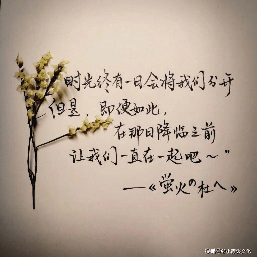 暖心有爱的感动句子,甜蜜深情,分分钟打动她的心