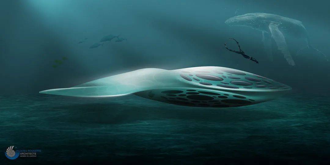 仿生学设计从自然获取灵感新易设计坊