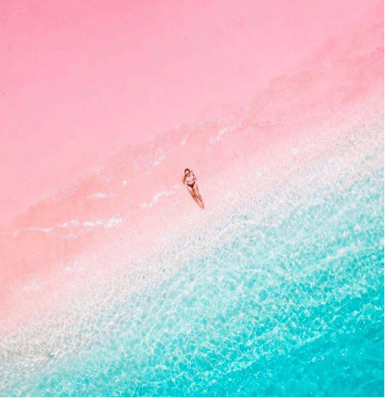 全球最美的粉色沙滩，女孩最喜欢，却不知道脚下踩的全是虫子！