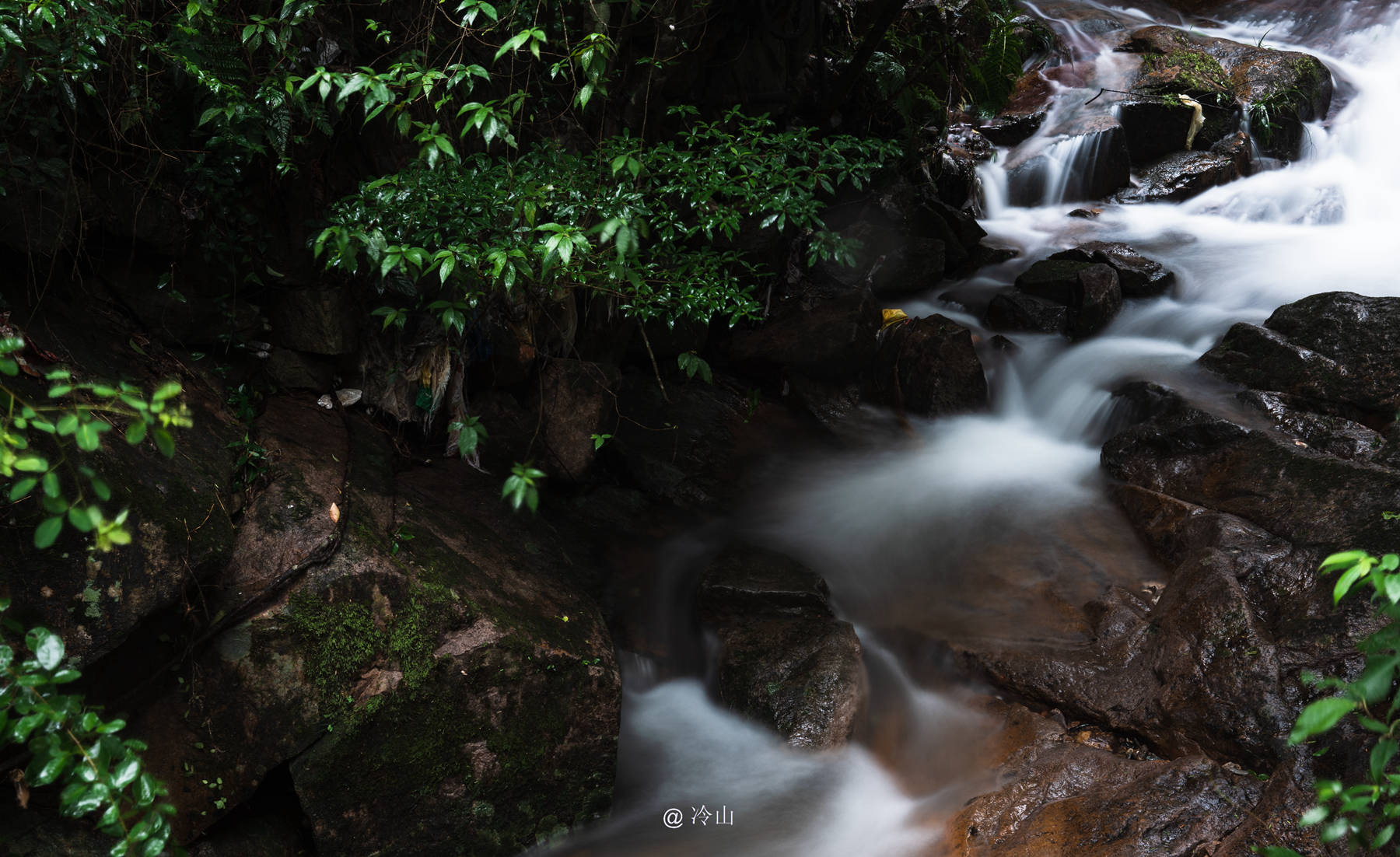 雨后的鼓山,带你走进清新山林