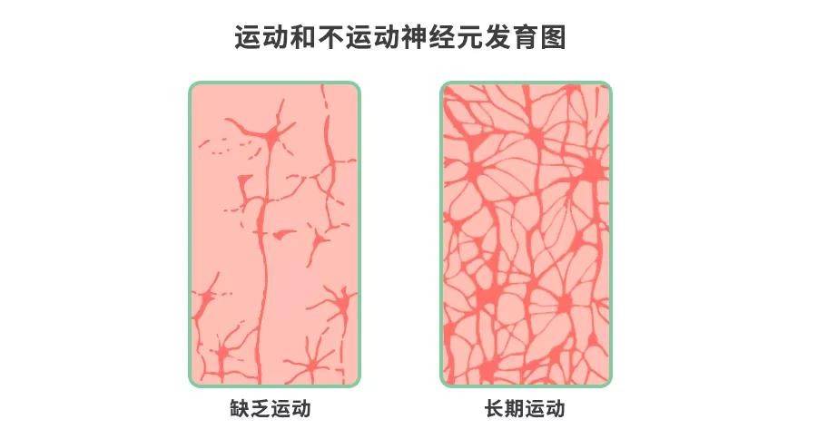体重|严防儿童肥胖!近20%的营养不良!“假早餐、坏晚餐”别吃